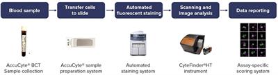 Circulating tumour cell enumeration, biomarker analyses, and kinetics in patients with colorectal cancer and other GI malignancies